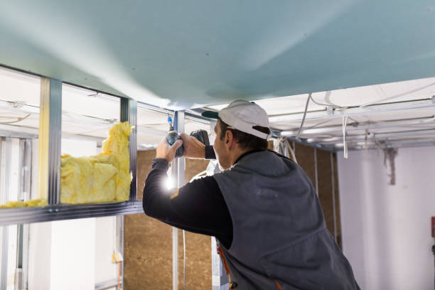 Best Blown-in Insulation  in Rossford, OH