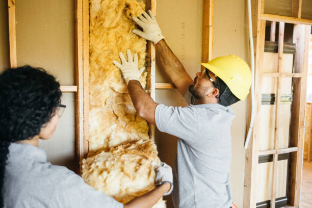 Best Insulation Replacement Services  in Rossford, OH