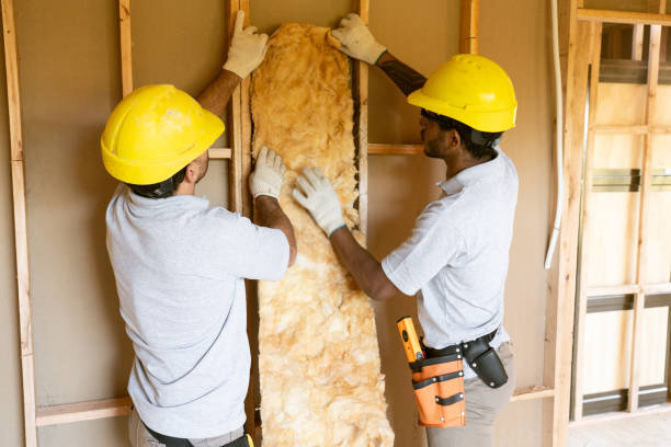 Best Insulation Contractor Near Me  in Rossford, OH
